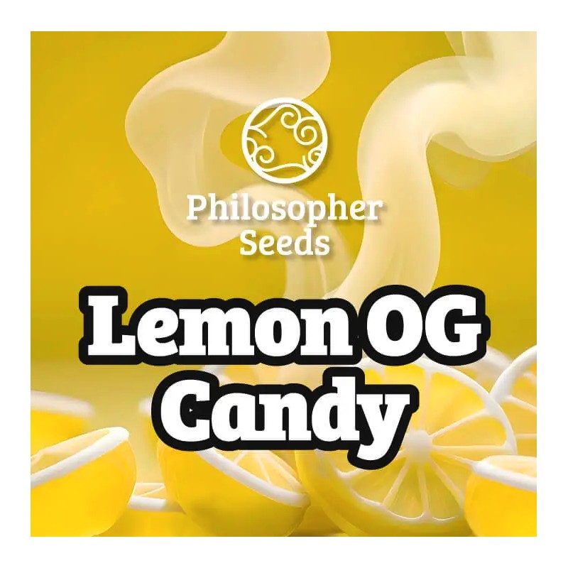 LEMON OG CANDY · Philosopher Seeds · cannabis seeds · Fem