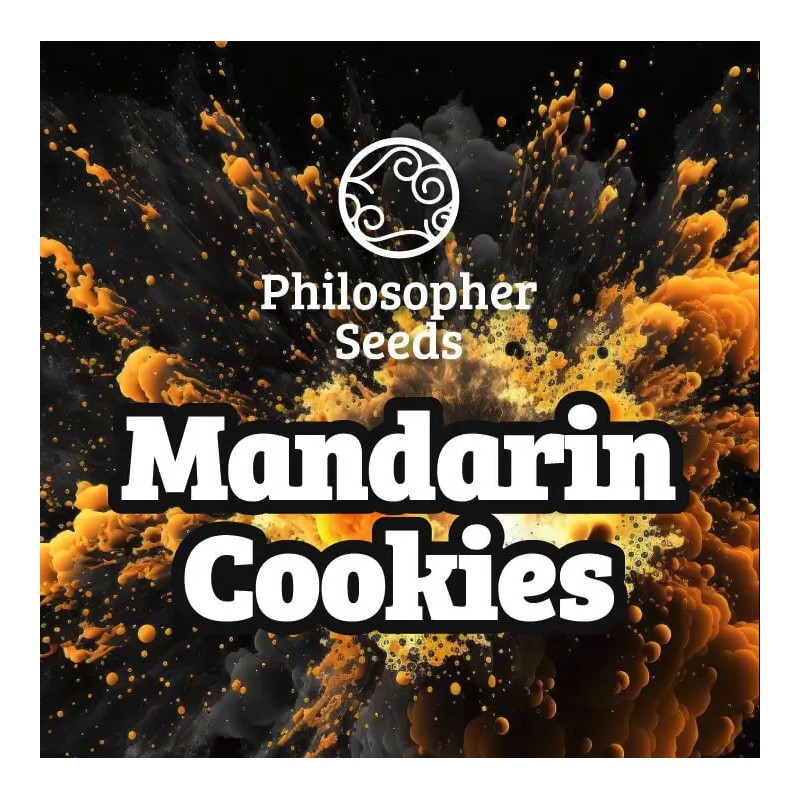 MANDARINE COOKIES · Philosopher Seeds · cannabis seeds · Fem