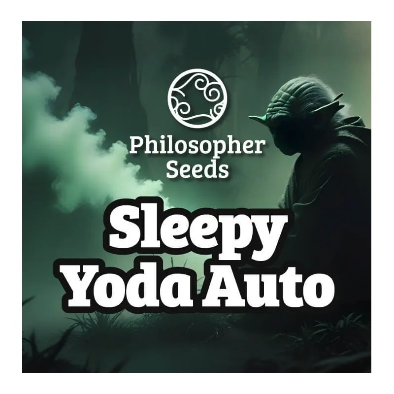 SLEEPY YODA AUTO · Philosopher Seeds · semi di canapa indiana · Auto Fem