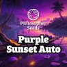PURPLE SUNSET AUTO · Philosopher Seeds · semi di canapa indiana · AutoFem