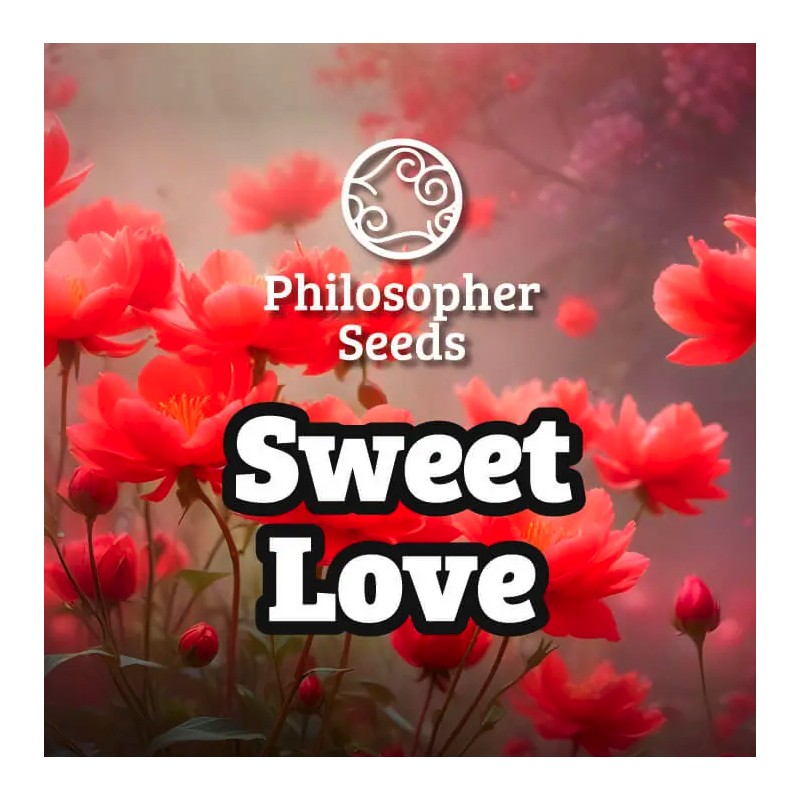 SWEETLOVE · Philosopher Seeds · semi di canapa · Fem