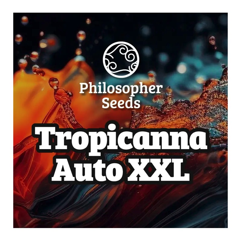 TROPICANNA AUTO XXL · Philosopher Seeds · semi di canapa indiana · AutoFem