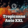 TROPICANNA AUTO XXL · Philosopher Seeds · semi di canapa indiana · AutoFem