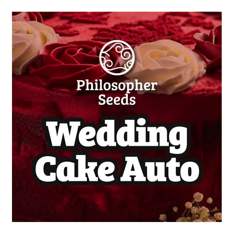WEDDING CAKE AUTO · Philosopher Seeds · cannabis seeds · AutoFem