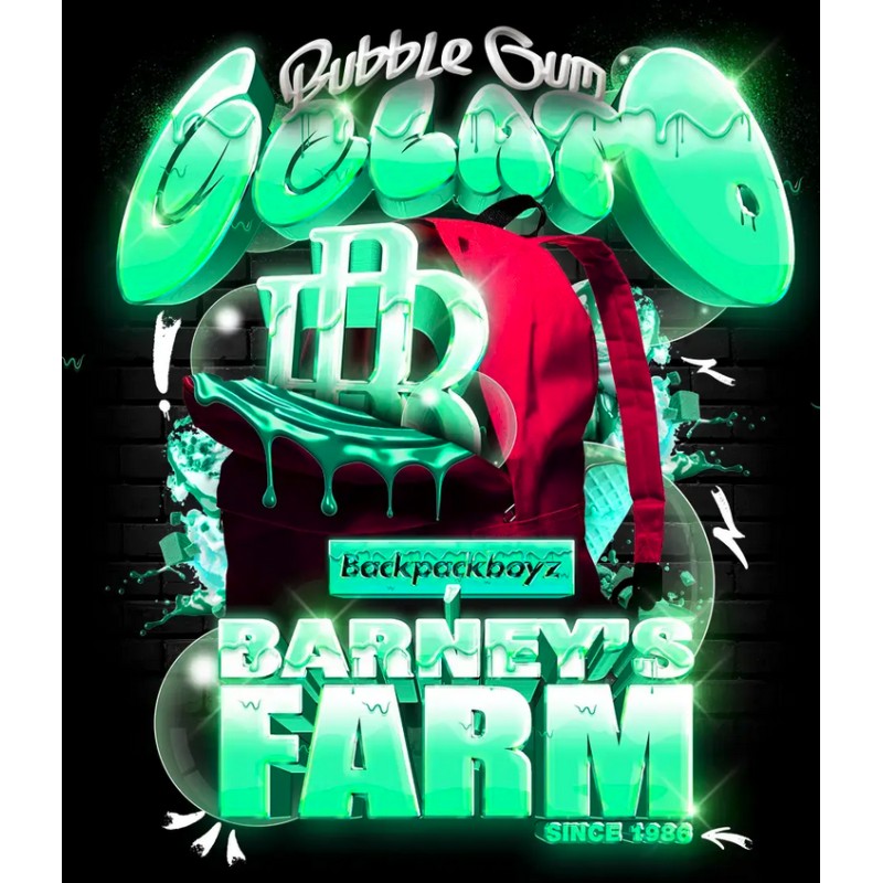Ayahuasca Purple | Barneys Farm | Kaufen Cannabis Samen