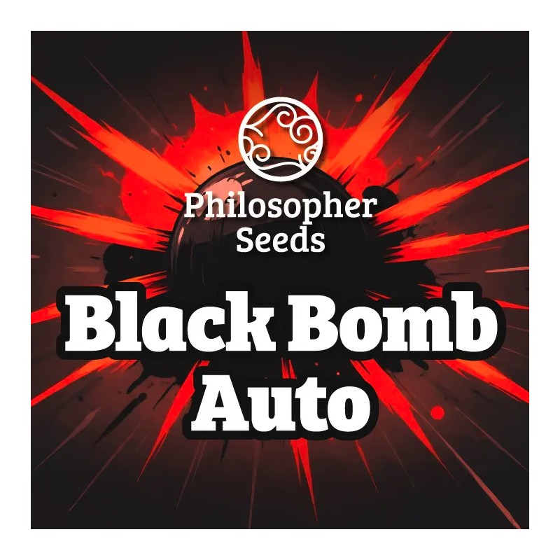 BLACK BOMB AUTO · Philosopher Seeds · semi di canapa indiana · AutoFem