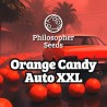 ORANGE CANDY AUTO XXL · Philosopher Seeds · sementes de maconha · AutoFem