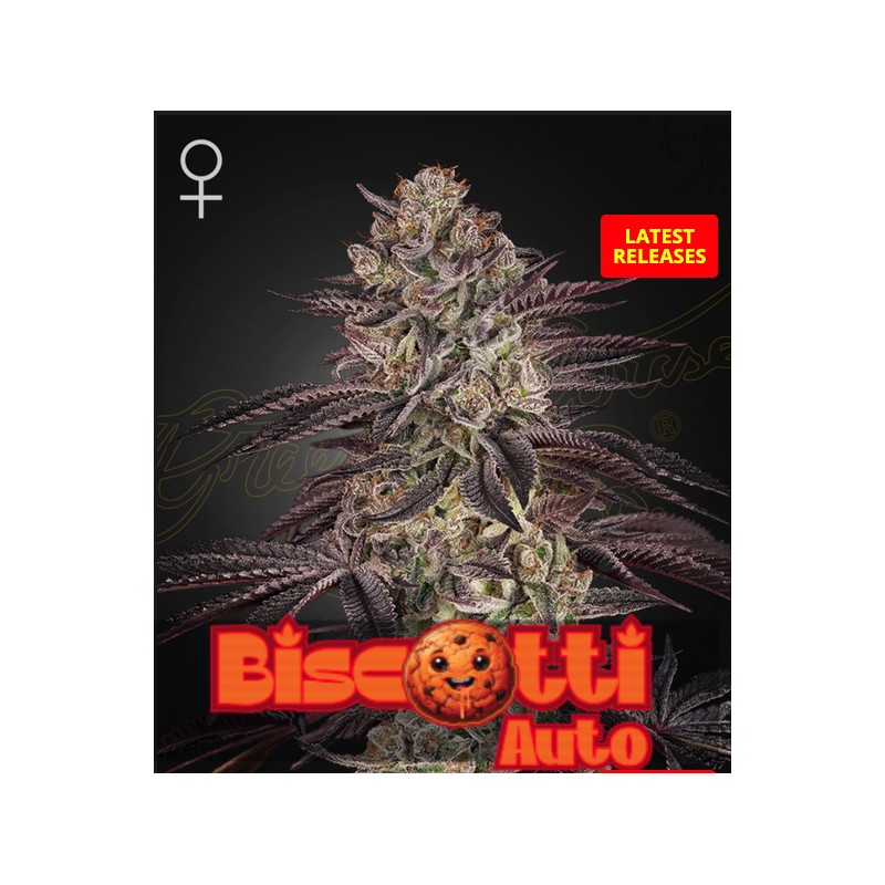 BISCOTTI AUTO · Green House Seeds · cannabis samen · AutoFem