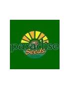 Paradise Seeds