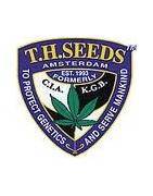 T.H Seeds Feminizatti