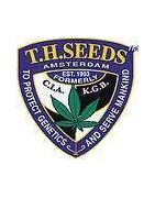 T.H Seeds Feminizatti