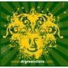 Dr Green Seeds