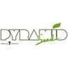 Pyramid Seeds