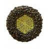 Mandala Seeds