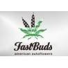 FastBuds