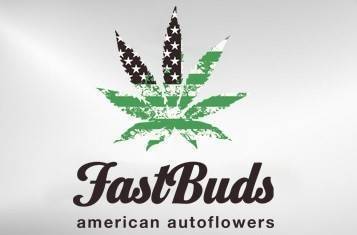 FastBuds